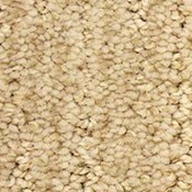 Carpet | Markville Carpet & Flooring