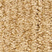 Carpet | Markville Carpet & Flooring