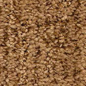 Carpet | Markville Carpet & Flooring