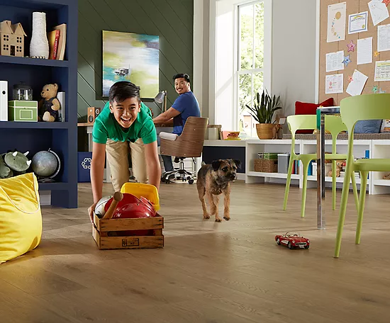 Safeguarding Floors from Pets | Markville Flooring