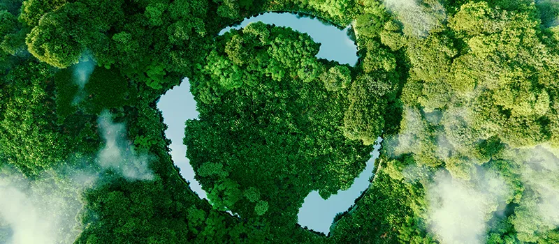 Environmental-Sustainable